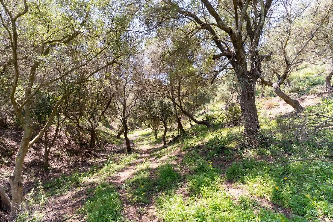 Finca Sta Teresa, Casa Grande Estepona Holiday home