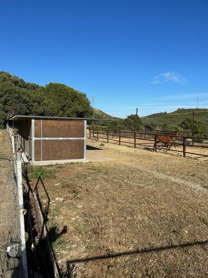 Finca Sta Teresa, Casa Grande Estepona Holiday home