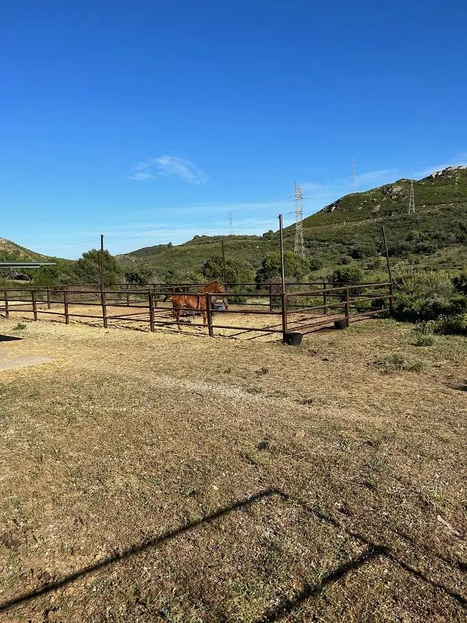 Finca Sta Teresa, Casa Grande Estepona